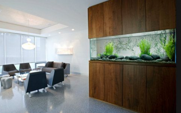 Aquarium modern dan canggih dengan aksen dinding transparan